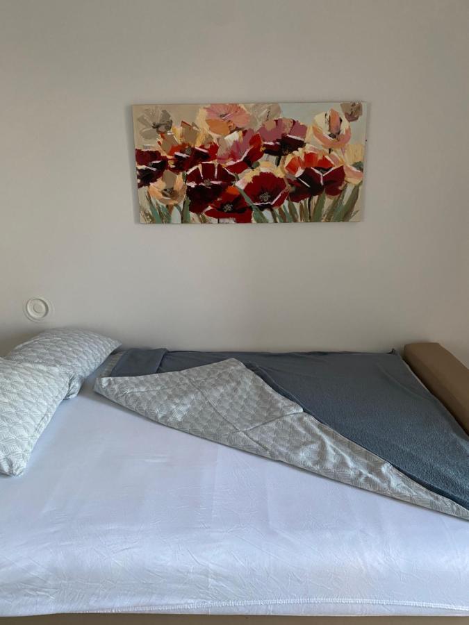 Apartman Colapis- Self Check In, Free Parking, Premium Location! Karlovac Luaran gambar